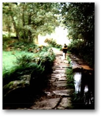 walk